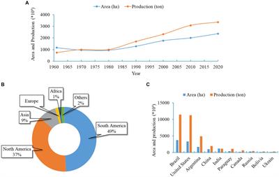 Understanding Phakopsora pachyrhizi in soybean: comprehensive insights, threats, and interventions from the Asian perspective